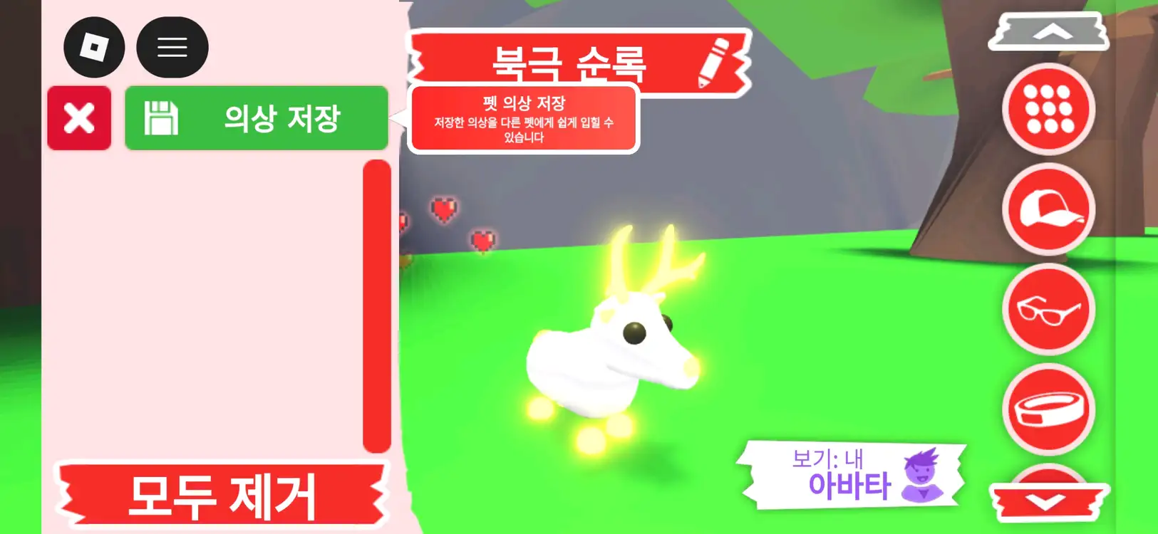 입양하세요 펫 메가네온 북극 순록(메흰순) 판매합니다 이미지