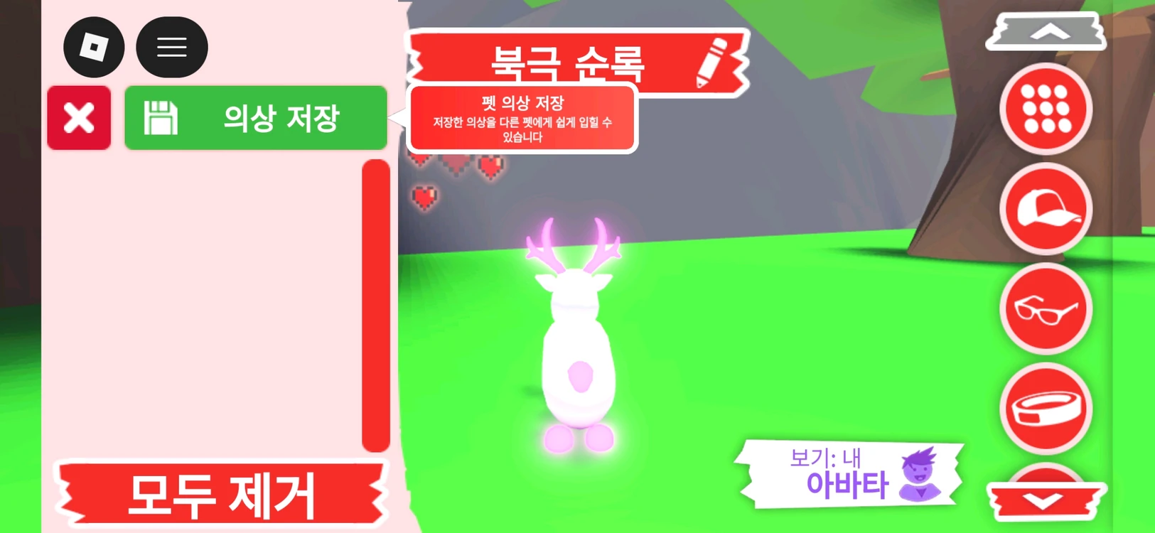 입양하세요 펫 메가네온 북극 순록(메흰순) 판매합니다 이미지