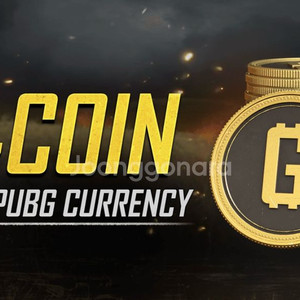 배그 스킨코드 G COIN 특가 이미지