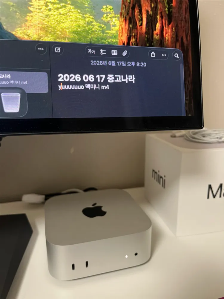 맥미니 M4 기본형 16 256 이미지