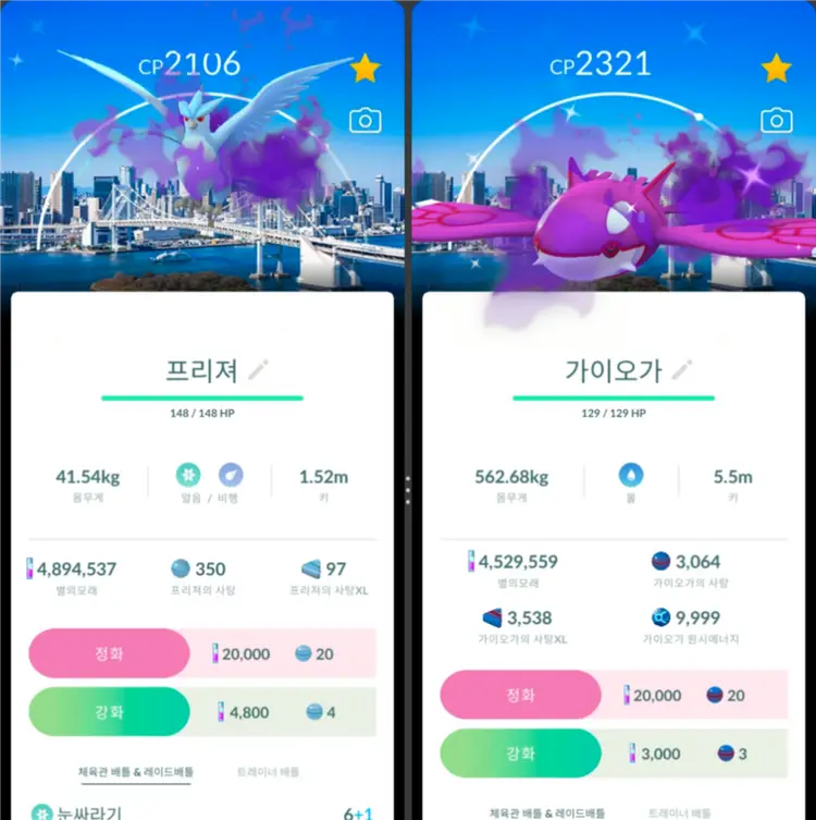 포켓몬고 2026 고페스트 로케이션 배경 이로치, 이로치, 로케전설 판매 이미지