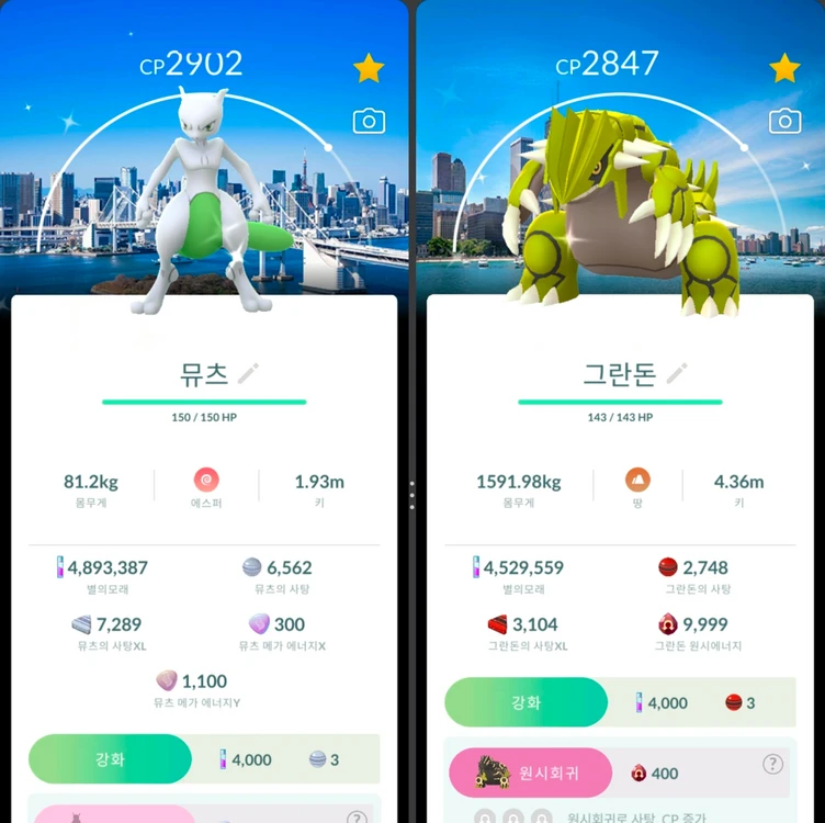포켓몬고 2026 고페스트 로케이션 배경 이로치, 이로치, 로케전설 판매 이미지