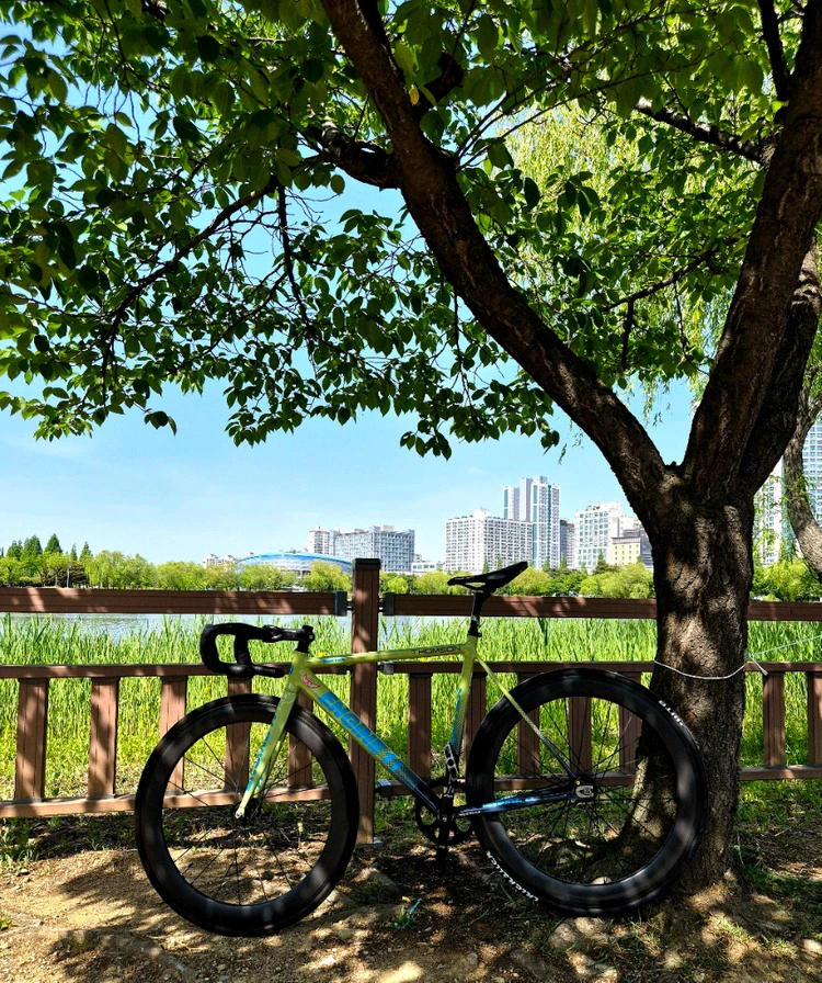 엔진11볼텍스 판/대(mtb,로드,자토바이,픽시) 이미지