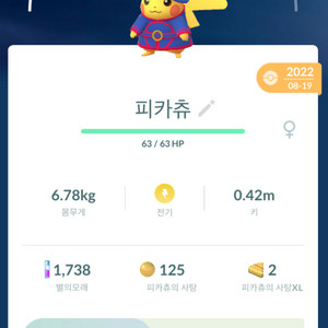 포켓몬고 피카츄 코스튬 판매 이미지