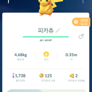 포켓몬고 피카츄 코스튬 이미지