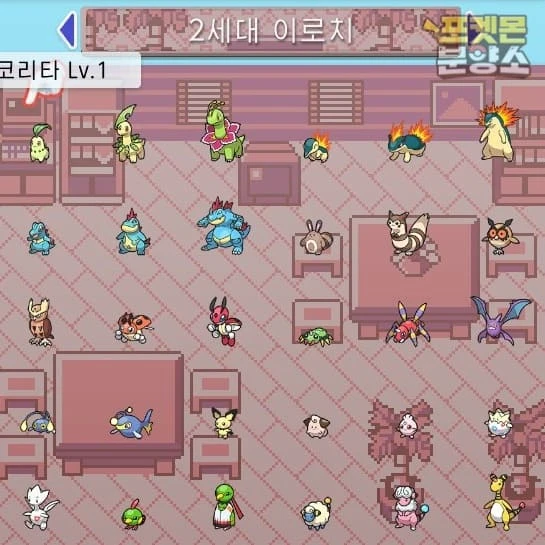 브다샤펄 / 각종 이로치, 실전, 배포 포켓몬 분양소 이미지