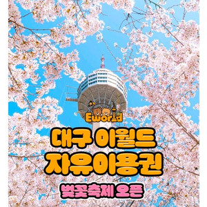 대구 이월드 종일권 자유이용권 이미지