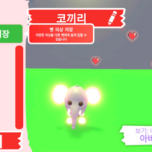 입양하세요 펫 네온 코끼리 판매합니다 이미지