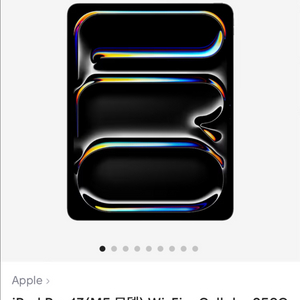 아이패드 프로 셀룰러 13 M5 256GB 팝니다 이미지