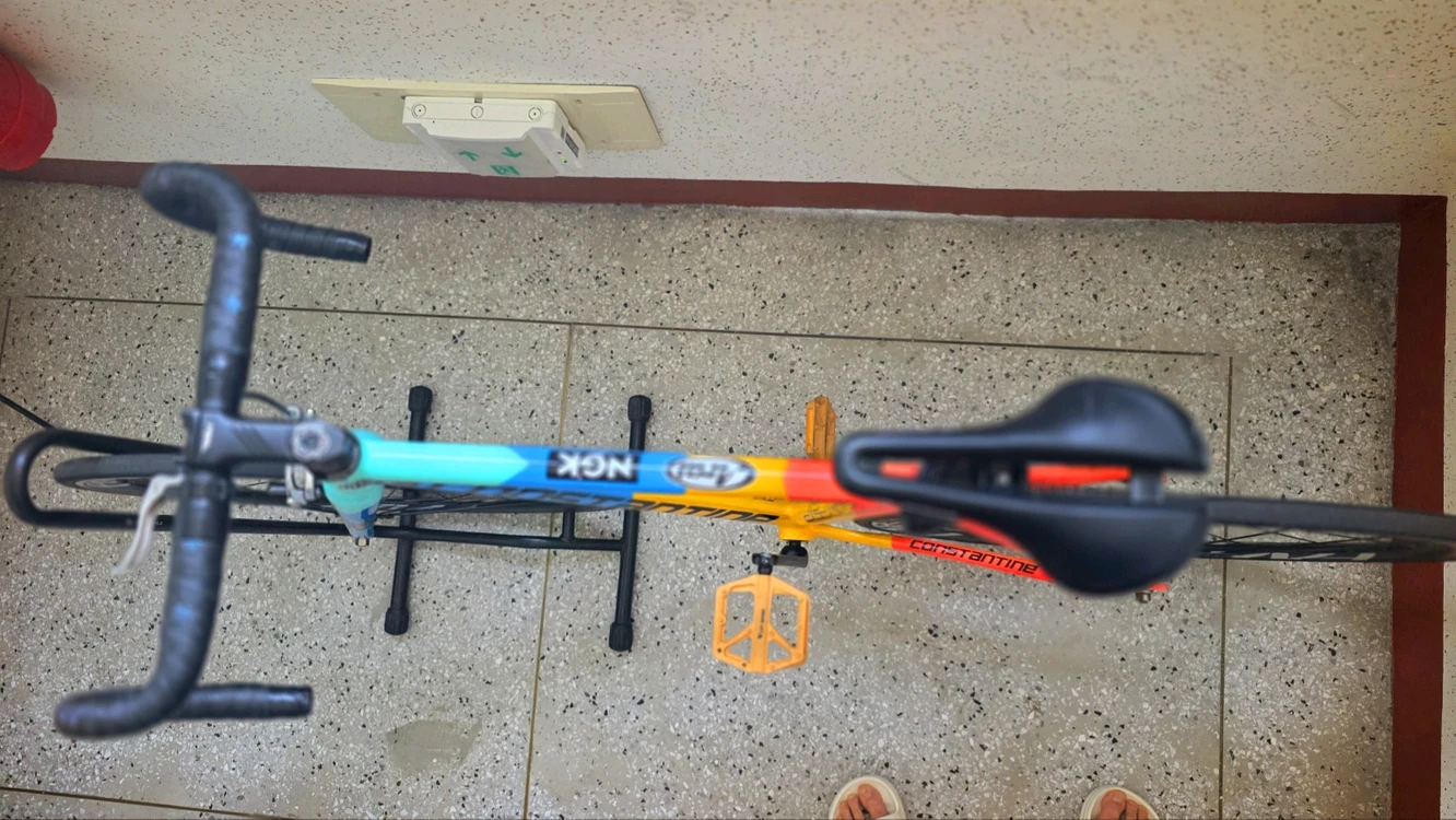 콘스탄틴 디스페랄 픽시 자전거 이미지