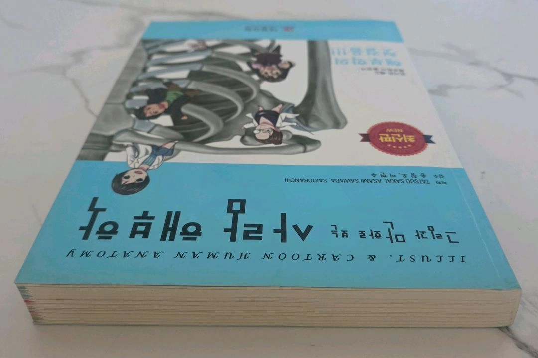 도서 그림과 만화로 보는 사람 해부학 교재 책 이미지