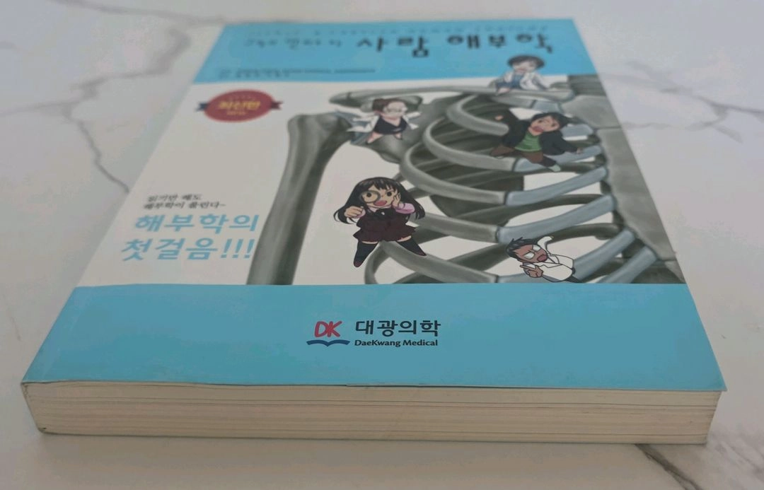 도서 그림과 만화로 보는 사람 해부학 교재 책 이미지