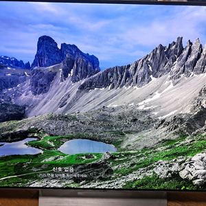 LG 55인치 OLED TV 2017년식 이미지