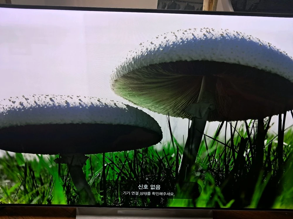LG 55인치 OLED TV 2017년식 이미지