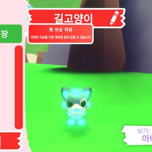 입양하세요 펫 메가네온 길고양이 판매합니다 이미지
