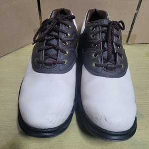 풋조이[FOOTJOY] 여성 골프화(250mm) 이미지