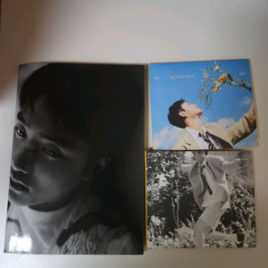 일괄 디오 포스터 공감 앨범 씨디 cd 포카 이미지