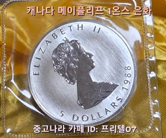 수집 가치가 충분한 1988년 발행 깨끗한 캐나다 메이플 리프 초판 1온스 은화 팔아요 이미지