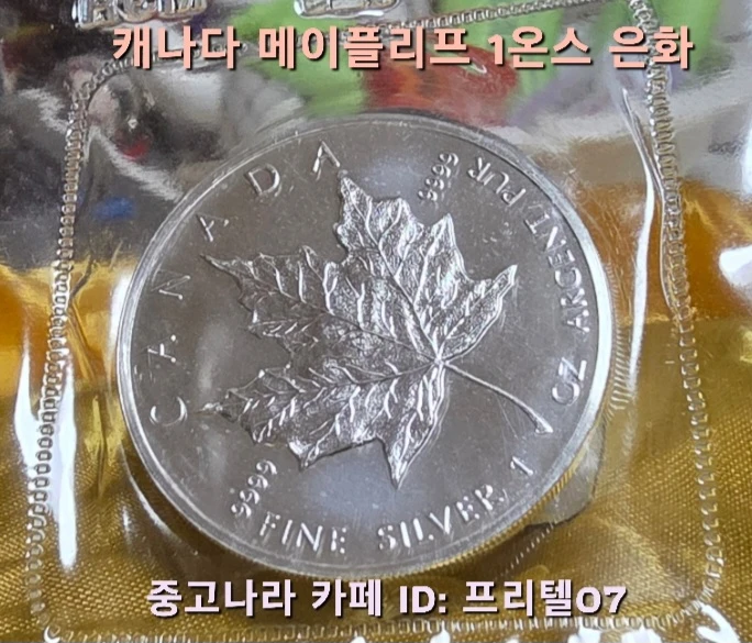 수집 가치가 충분한 1988년 발행 깨끗한 캐나다 메이플 리프 초판 1온스 은화 팔아요 이미지