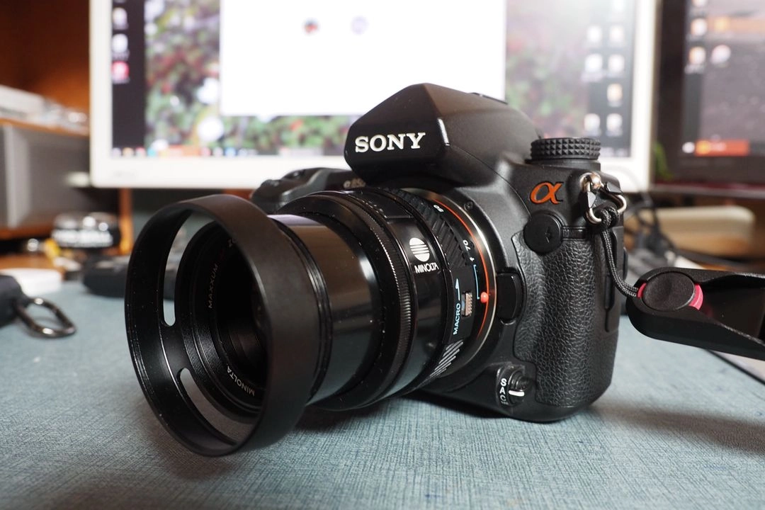 소니 알파 A850 카메라 + 시그마 28-70mm, 50mm, 75-3 이미지