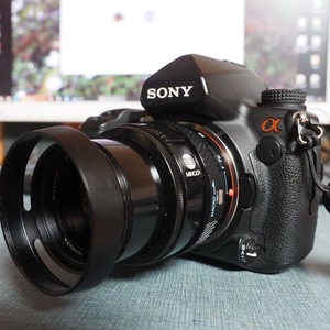 소니 알파 A850 카메라 + 시그마 28-70mm, 50mm, 75-3 이미지