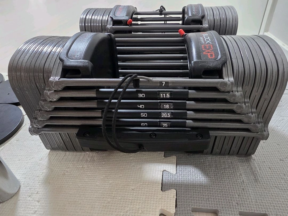 파워블럭 EXP 70 31kg 한쌍 팝니다.(무게 조절 덤벨, 덤벨, 홈트) 이미지