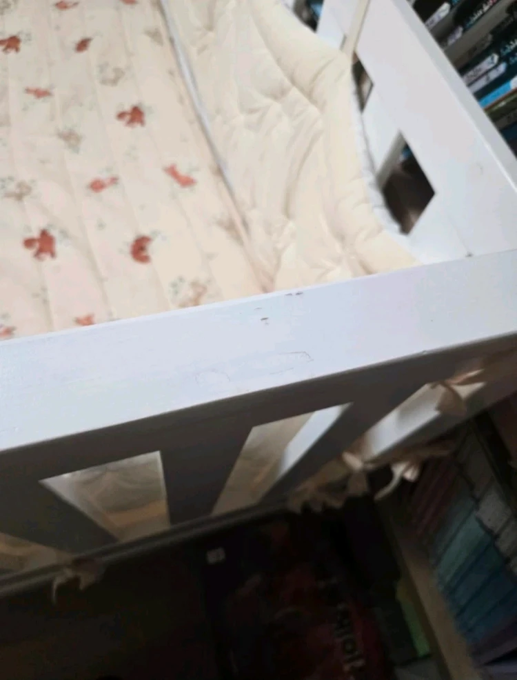 피카소 데이베드 원목 프레임 + 루앤시아 범퍼 가드 일괄 아기 저상형 침대 이미지