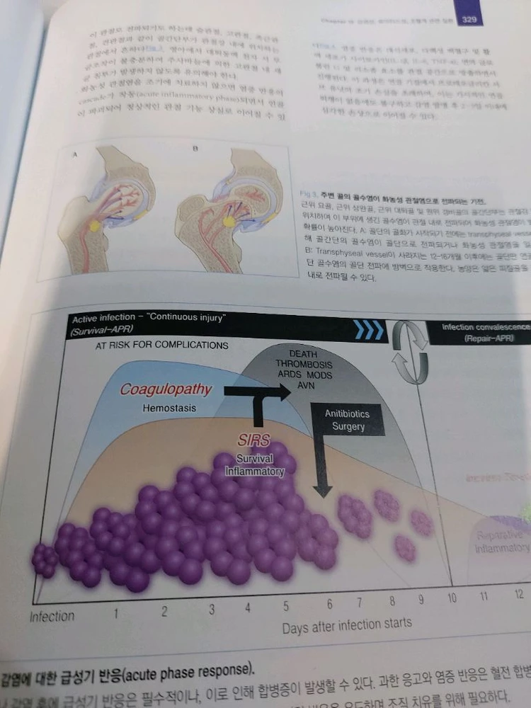 이덕용 소아정형외과학 5판 이미지