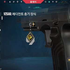 발로란트 안전 대리 이미지
