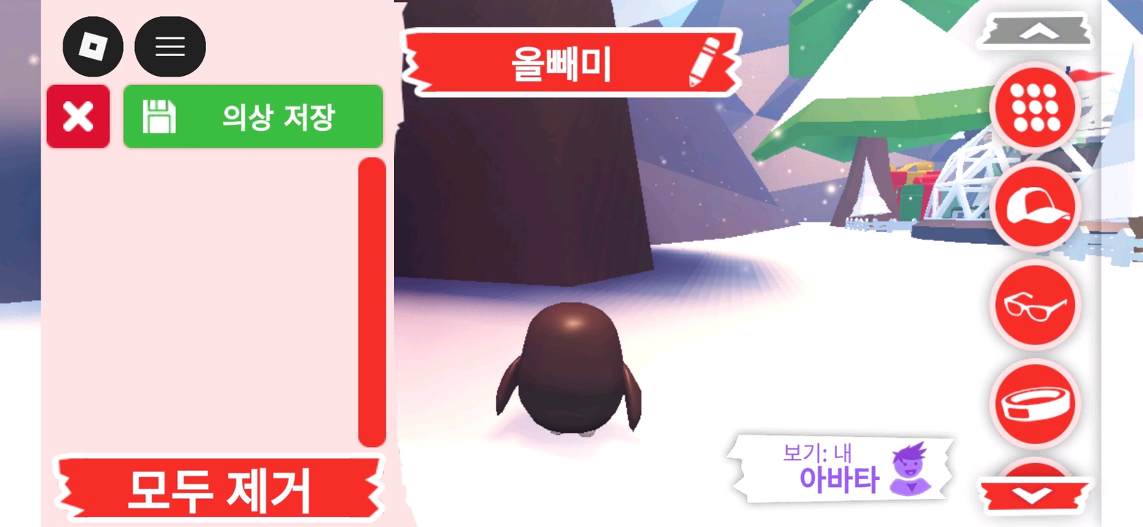 입양하세요 펫 올빼미(부엉이)(뵝)판매합니다 이미지