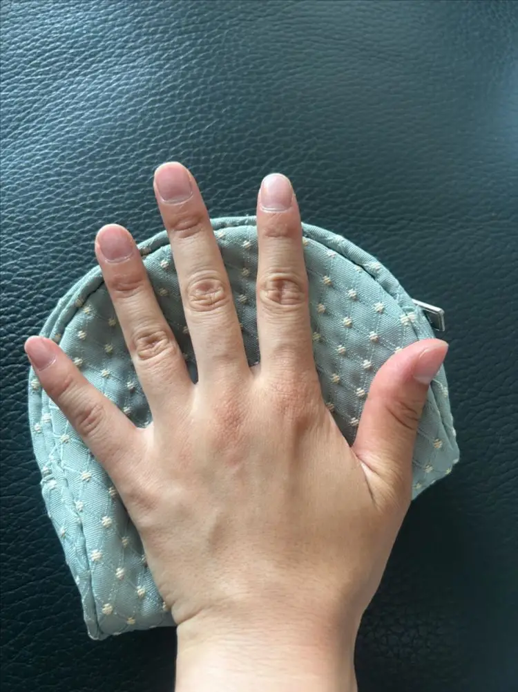 시슬리 화장품 파우치 이미지