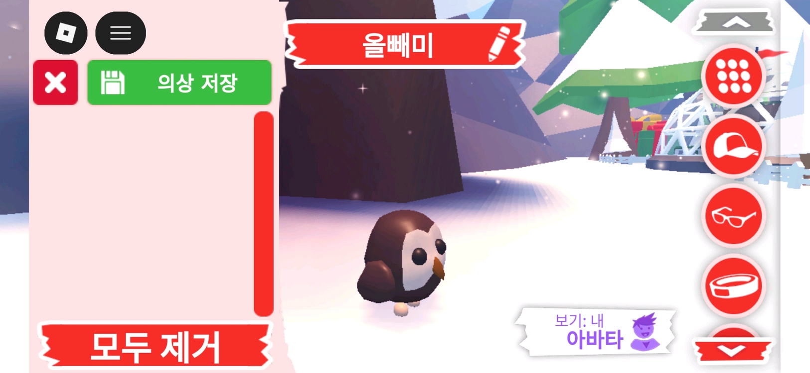 입양하세요 펫 올빼미(부엉이)(뵝)판매합니다 이미지