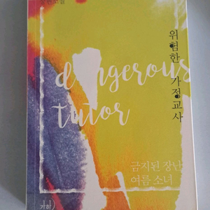 단권 소설책 위험한 가정교사 이미지