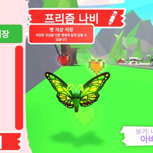 입양하세요 펫 메가네온 프리즘 나비 판매합니다 이미지