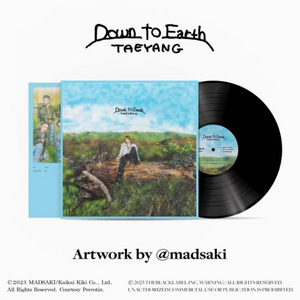 태양 Down To Earth LP 이미지