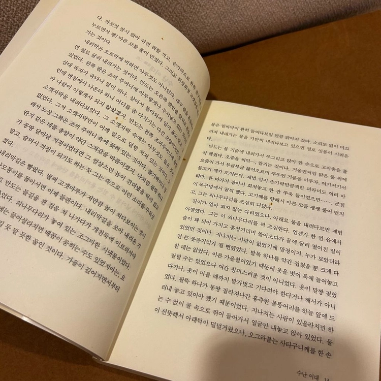 [책/청소년/절판] 수난 이대 (외)_하근찬 (소담출판사) (한국문학/교과연계/단편소설) 이미지
