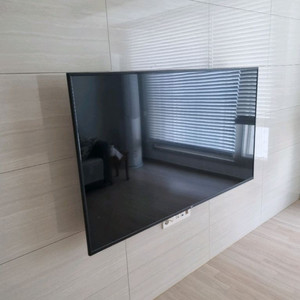 LG 65인치 TV 이미지