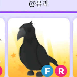 입양하세요 까마귀 팝니당!! 이미지