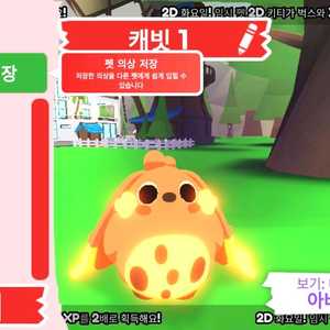 입양하세요 펫 네온 캐빗 (네캐빗) 판매합니다 이미지