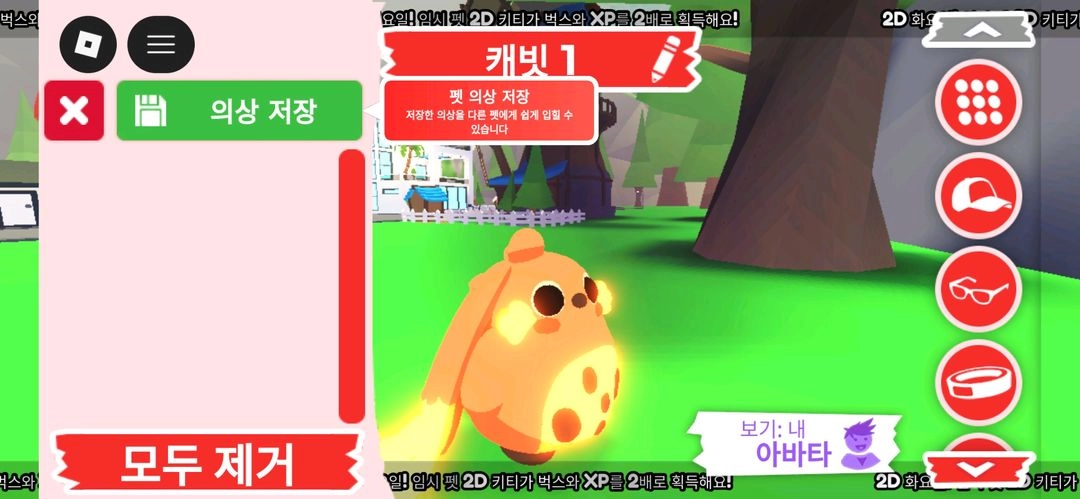 입양하세요 펫 네온 캐빗 (네캐빗) 판매합니다 이미지