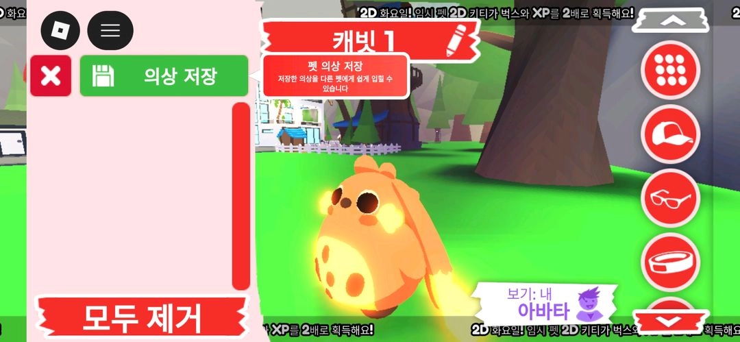 입양하세요 펫 네온 캐빗 (네캐빗) 판매합니다 이미지