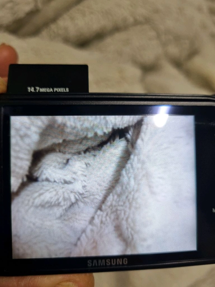 삼성 vluu wb5500 레트로 디카 빈티지 카메라 이미지
