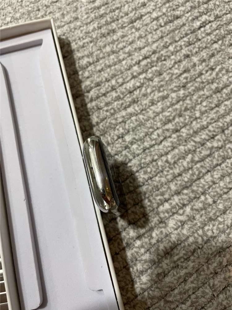 애플워치7에르메스 45mm 실버 S급 이미지
