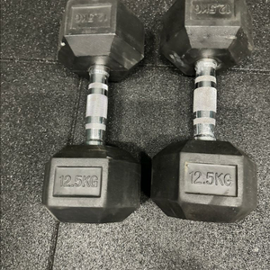 12.5kg 덤벨 2개 세트 이미지