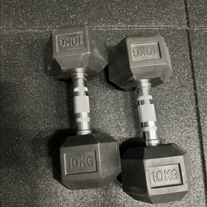 덤벨 10kg 2개 세트 이미지