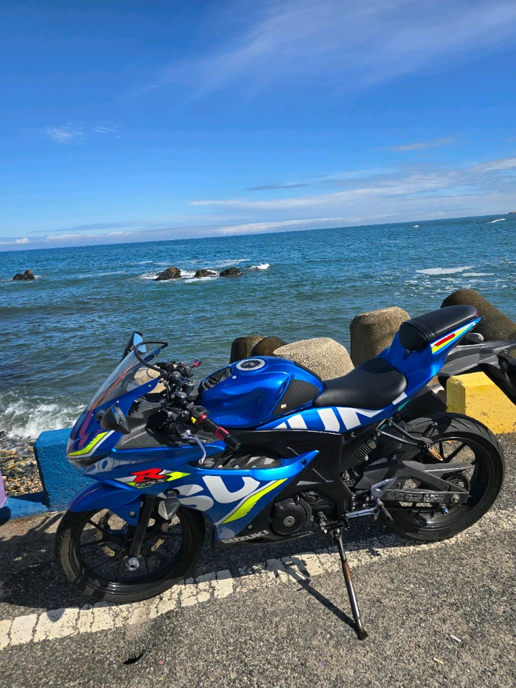 스즈키 gsx-r125 18년식 277xxkm 이미지