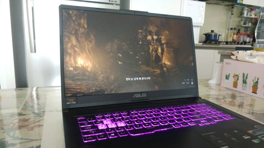 아수스 TUF 17.3인치 라이젠7 게이밍 노트북/GTX1650Ti 이미지