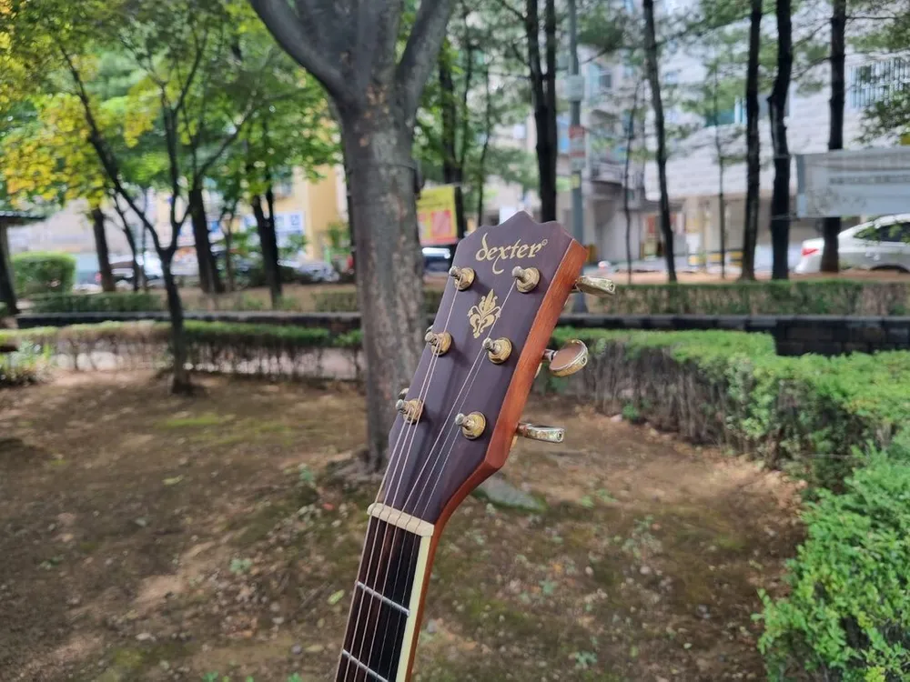 버스킹용 추천 한국산 덱스터 탑솔리드 통기타 EQ픽업 기타 이미지