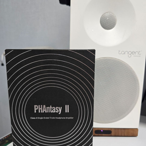 PHATLAB PHANTASY 2 진공관 앰프 팝니다 이미지