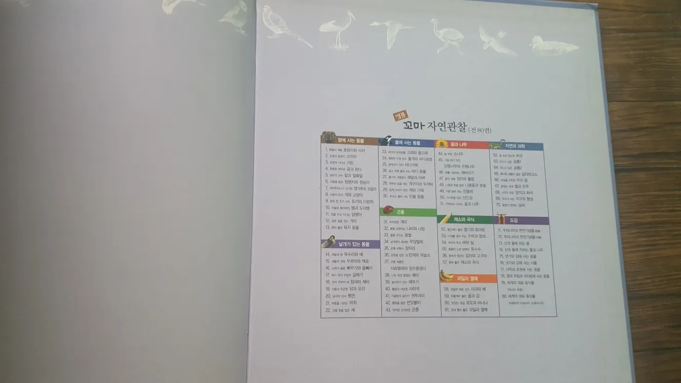전집 교과서에나오는원리과학 명품꼬마자연관찰 이미지